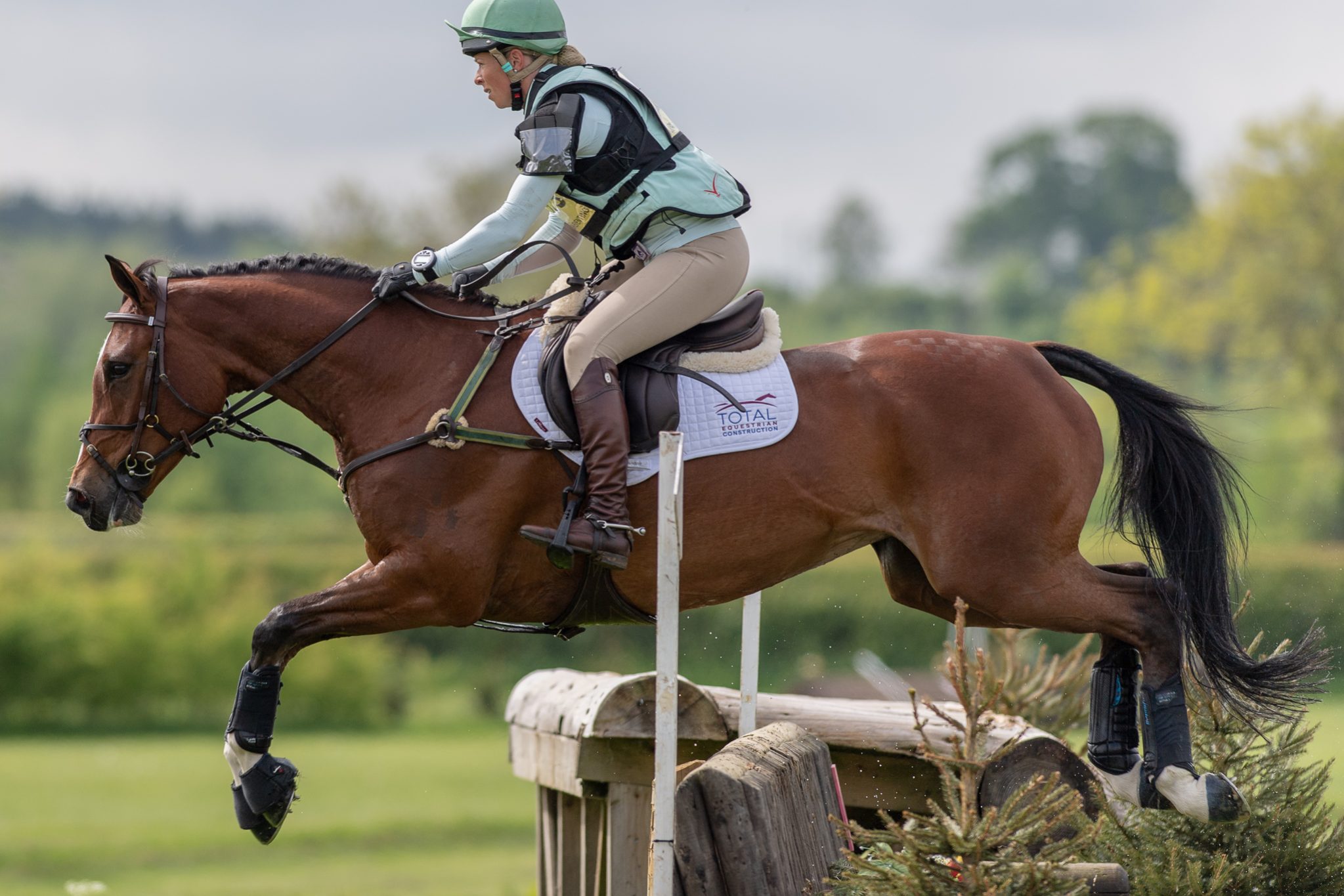 Carey_May 12, 2018_DSC_0338